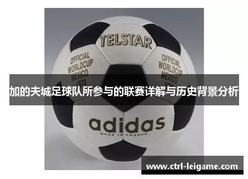加的夫城足球队所参与的联赛详解与历史背景分析 加的夫城足球队所参与的联赛详解与历史背景分析