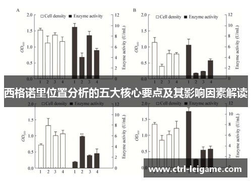 西格诺里位置分析的五大核心要点及其影响因素解读
