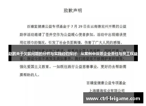 赵鹏关于欠薪问题的分析与实践经验探讨：从案例中反思企业责任与员工权益