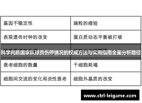 科学判断国家队球员伤停情况的权威方法与实用指南全面分析路径